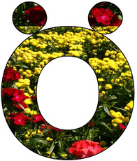 Deko-Buchstaben-Blumen_Ö.jpg